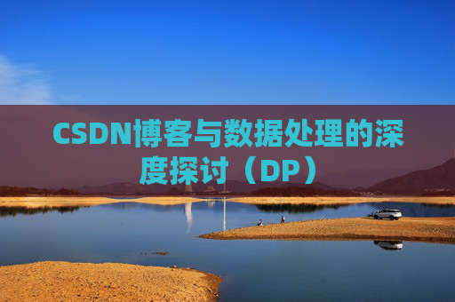 CSDN博客与数据处理的深度探讨（DP）